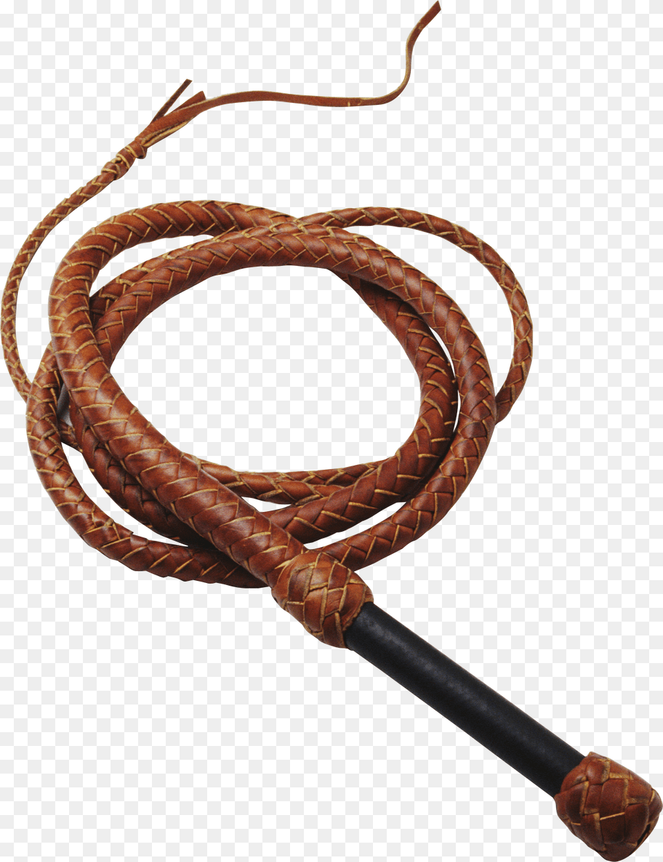 Whip Free Png