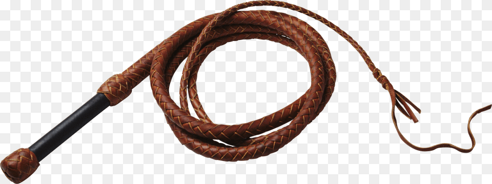 Whip Free Png