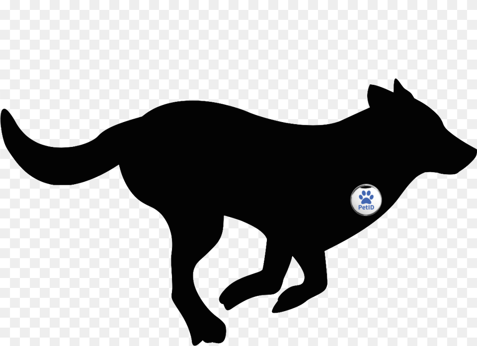 Whippet Puppy Silhouette Running Dog Running Clipart, Animal, Cat, Mammal, Pet Png Image