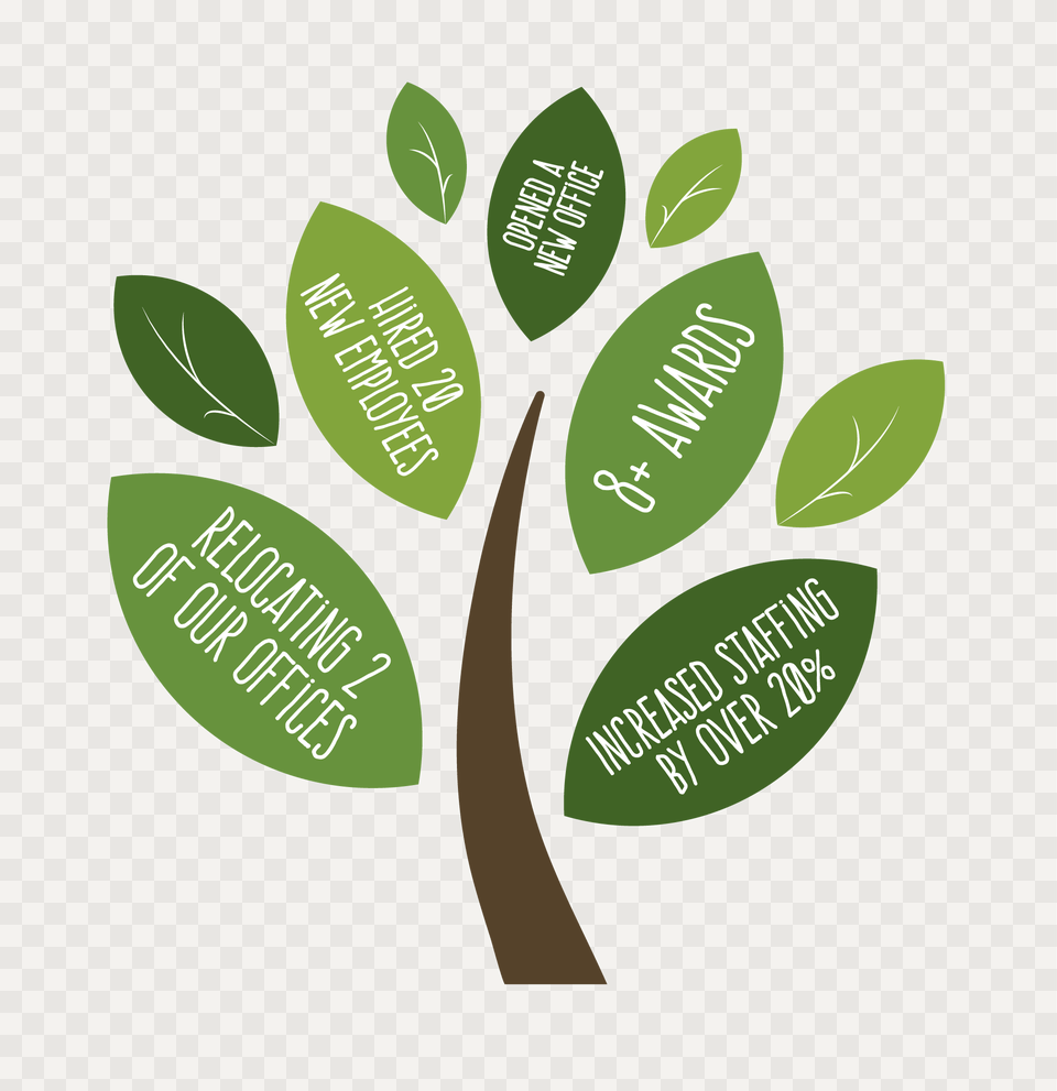 Whirlwind Year And Growth Infographic Growth Infographic Tree, Herbal, Herbs, Leaf, Plant Free Png Download