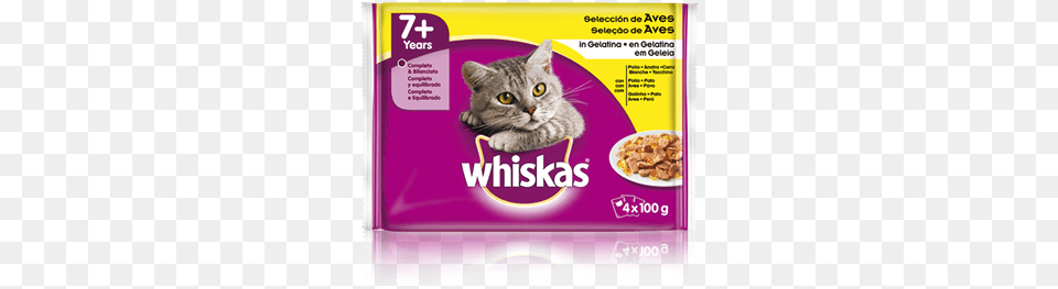 Whiskas 7 Adult Fish Selection In Jelly Whiskas, Animal, Cat, Mammal, Pet Free Png Download