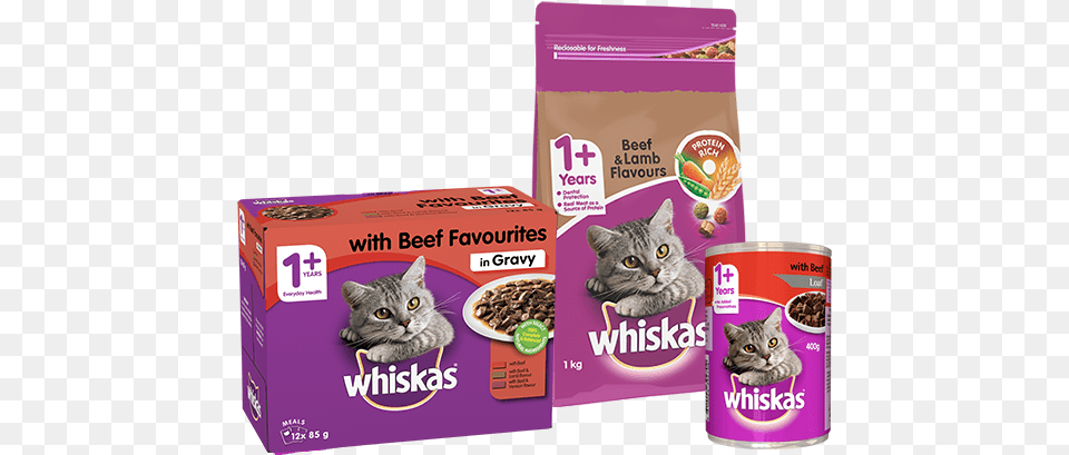 Whiskas Australia Welcome To Whiskascomau Whiskas, Aluminium, Animal, Cat, Mammal Free Transparent Png