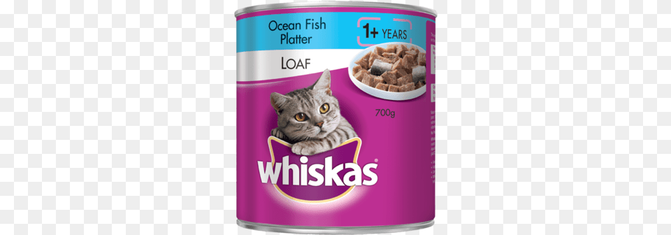 Whiskas Oh So Fishy Adult Ocean Fish Platter Loaf Style Whiskas Senior Cat Food, Aluminium, Can, Canned Goods, Tin Free Png