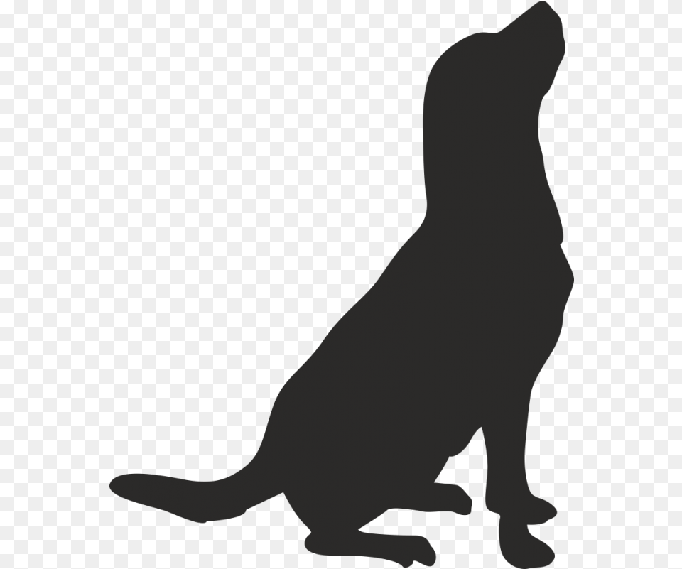 Whiskers American Pit Bull Terrier Drawing Clip Art Dog, Silhouette, Baby, Person, Animal Free Png