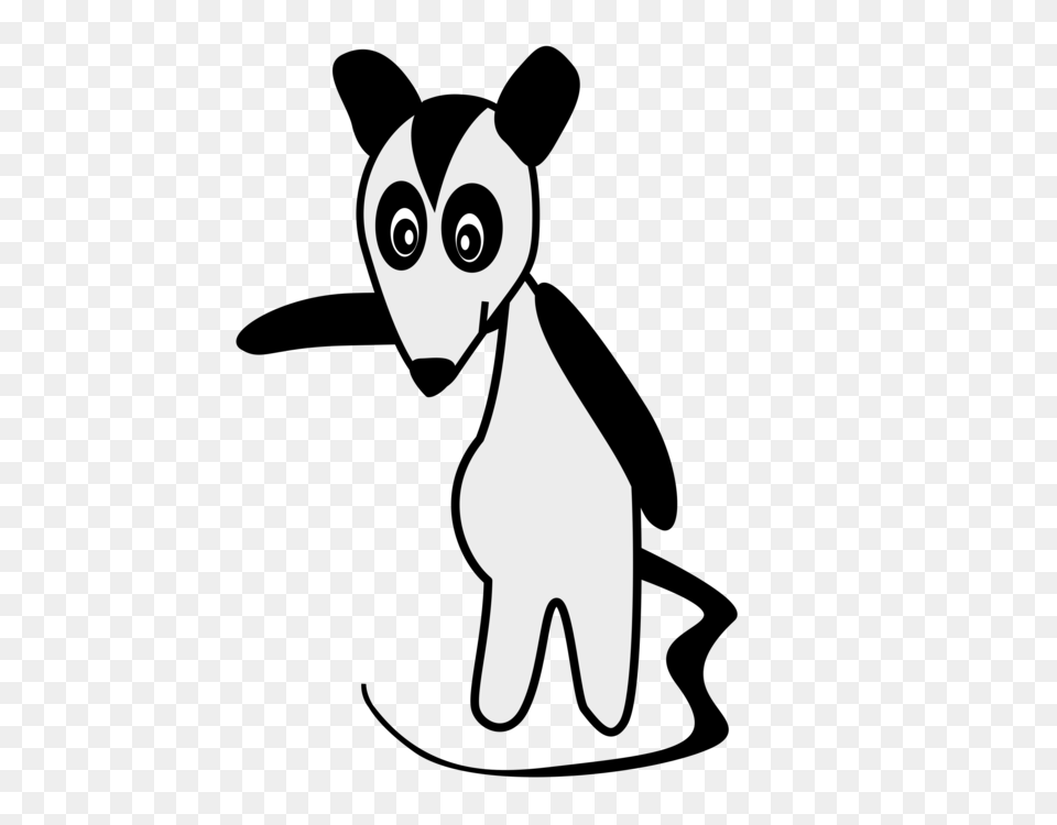 Whiskers Big Eared Opossum Cat Drawing, Stencil Free Transparent Png