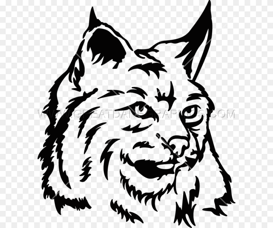 Whiskers Cat Dog Clip Art, Lighting, Nature, Night, Outdoors Free Transparent Png
