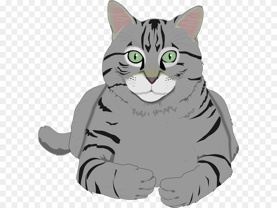 Whiskers Clipart Gray Grey Tabby Cat Cartoon, Animal, Art, Mammal, Pet Png