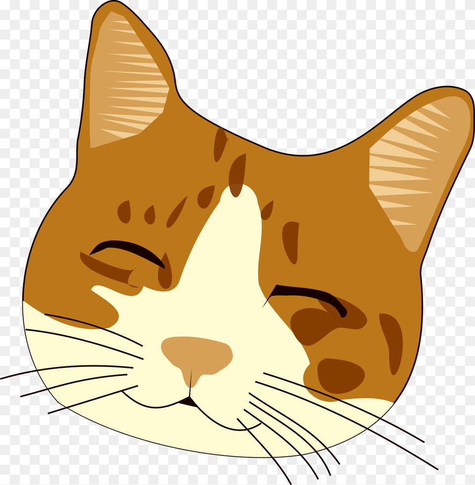 Whiskers Clipart Transparent Cartoon Cat With Transparent Background, Animal, Mammal, Pet, Fish Png