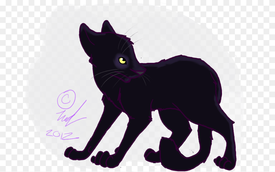 Whiskers Domestic Short Haired Cat Silhouette Tail Black Cat, Animal, Mammal, Pet, Black Cat Free Png Download