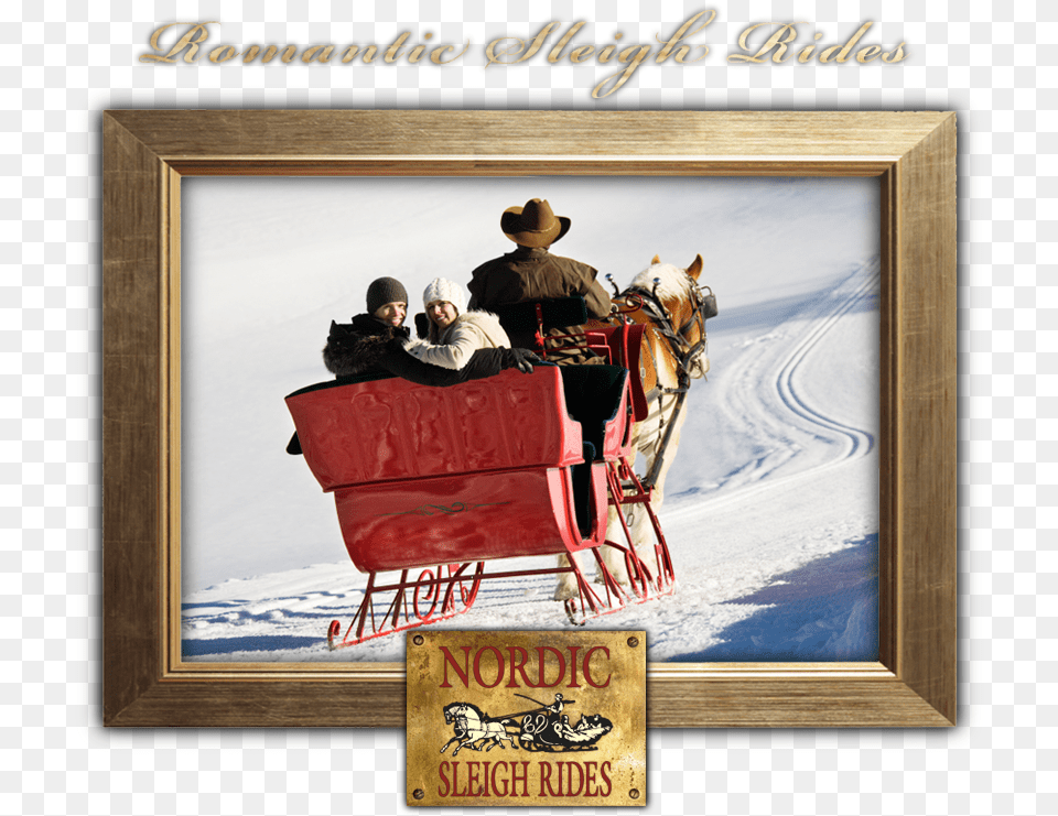 Whistler Winter Sleigh Horse, Adult, Person, Woman, Female Free Png