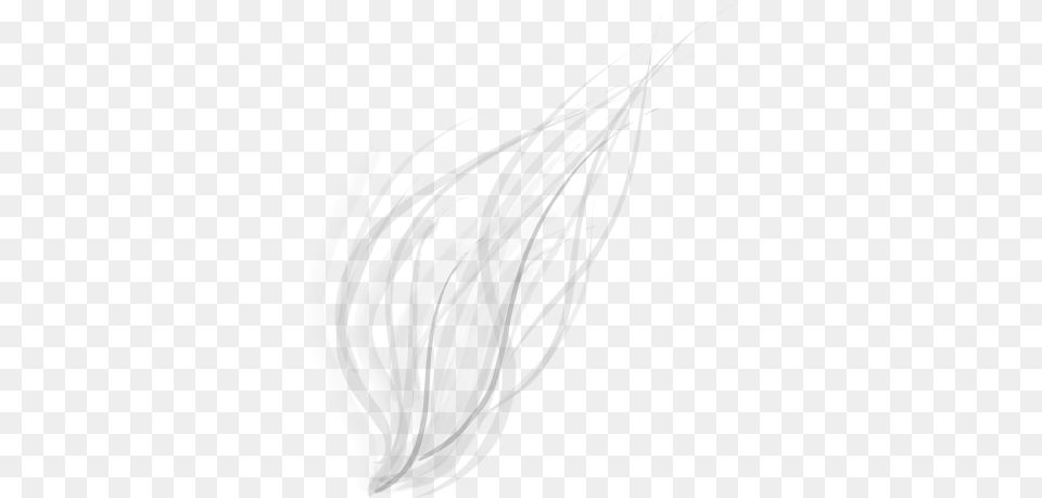 White Abstract Lines 1 Transparent White Abstract Lines, Art, Plant, Food, Produce Png Image