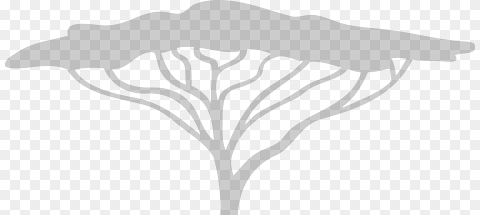 White Acacia Tree Logo, Cross, Symbol, Silhouette, Lighting Png Image