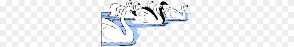 White And Black Swans Clip Art, Animal, Bird, Swan, Baby Png