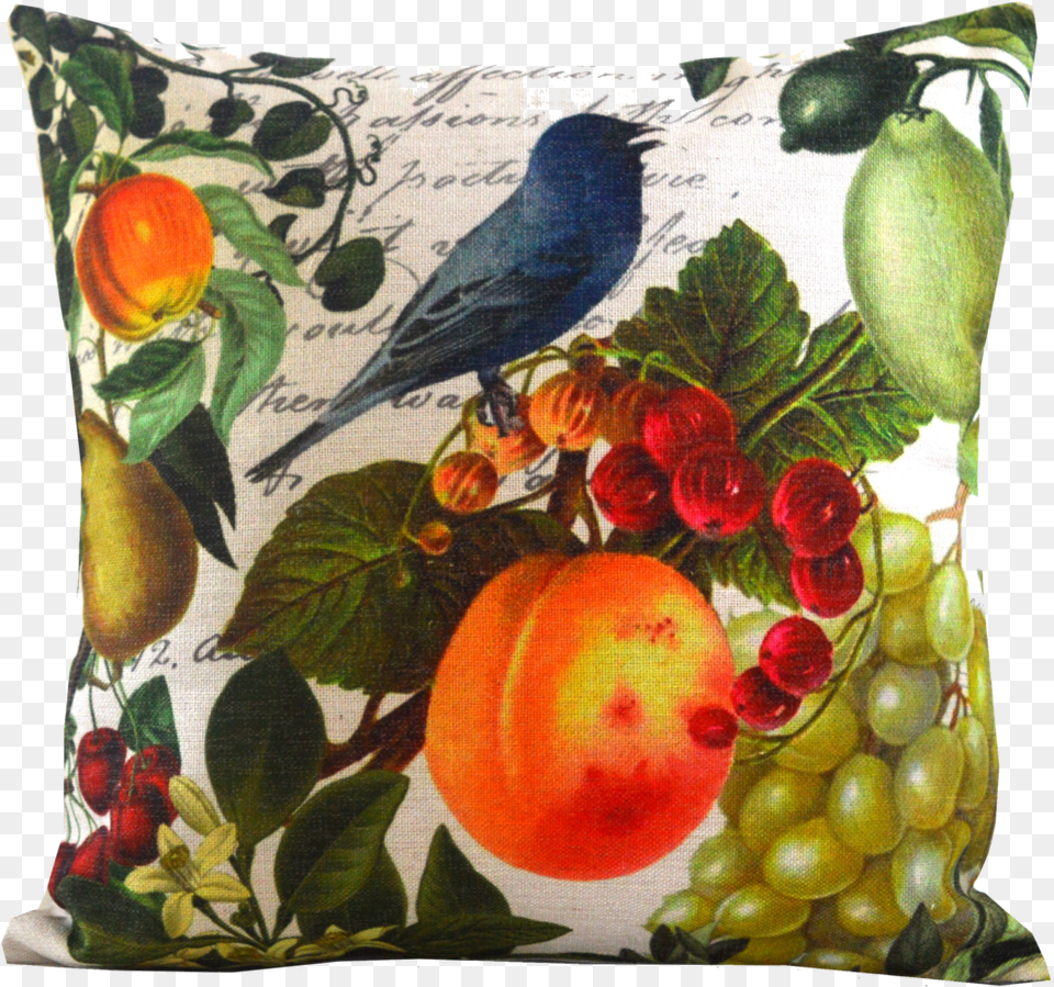 White And Blue Bird Fruit Throw Pillow With Insert Clementine, Produce, Plant, Home Decor, Food Free Png Download