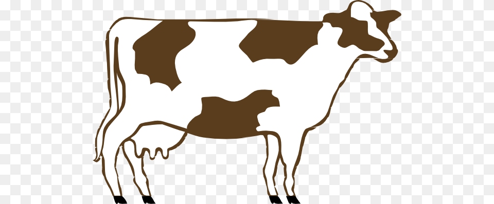 White And Brown Cow Clip Art, Animal, Cattle, Dairy Cow, Livestock Free Transparent Png