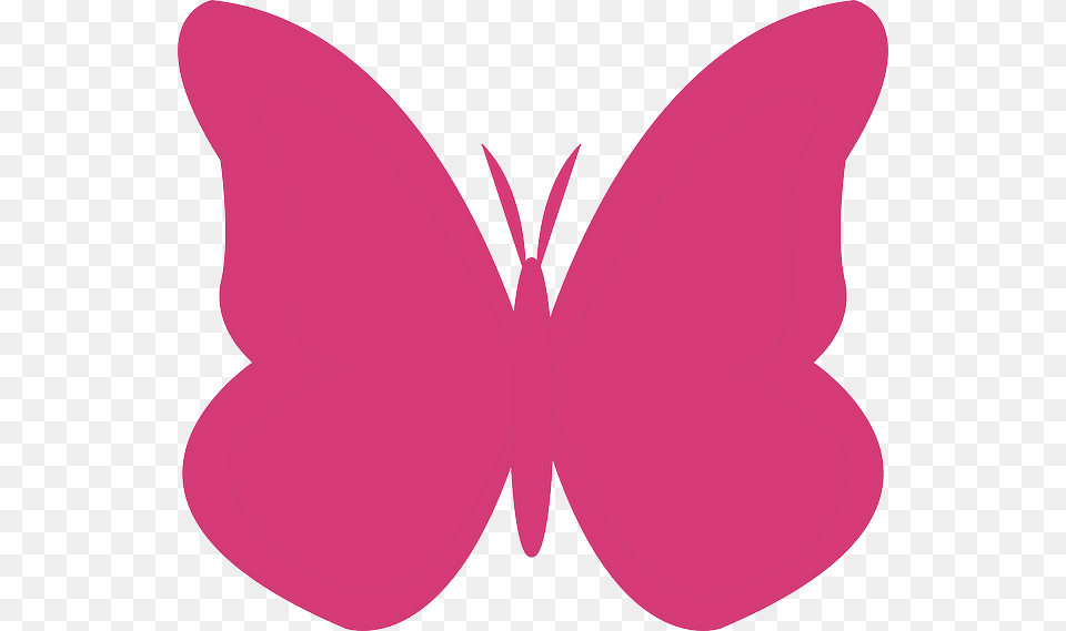 White And Pink Butterfly Background, Flower, Petal, Plant, Animal Free Png Download