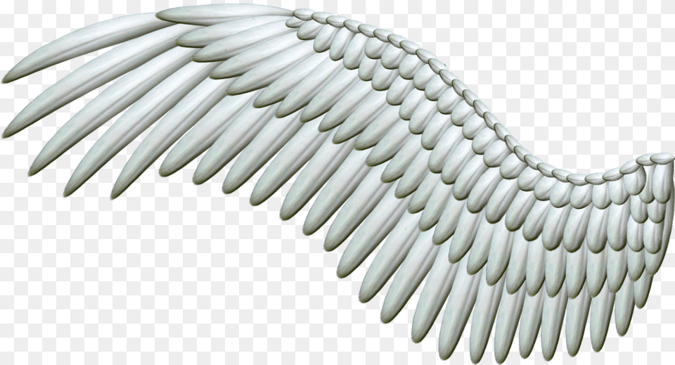 White Angel Wings, Animal, Bird, Vulture, Flying Free Png