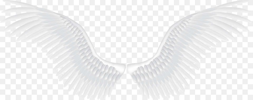 White Angel Wings, Animal, Bird, Vulture Free Png Download