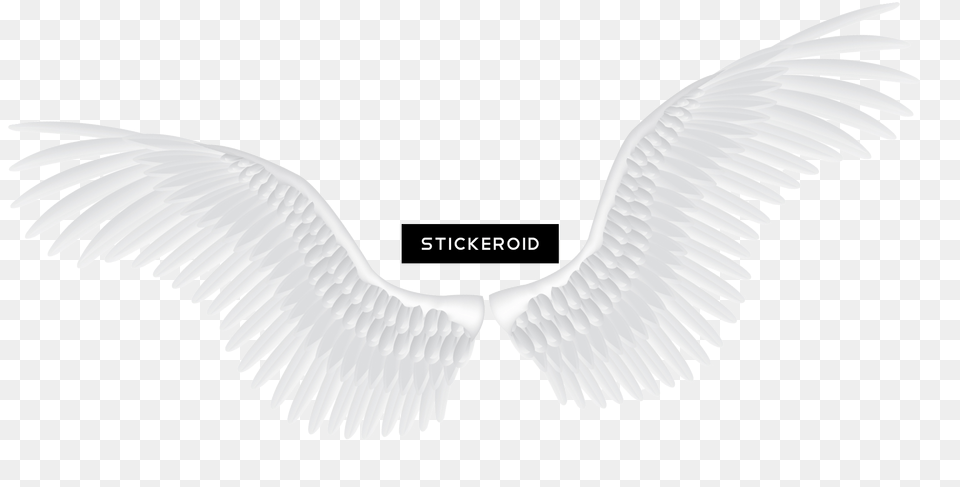 White Angel Wings Fantasy Religion White Angel Wings Hd Free Png Download