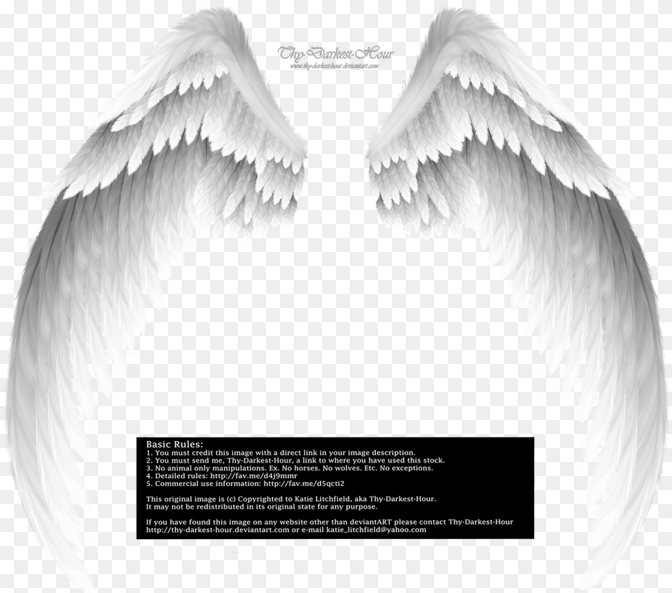 White Angel Wings Transparent Background Angel Wings, Animal, Bird, Advertisement, Poster Free Png