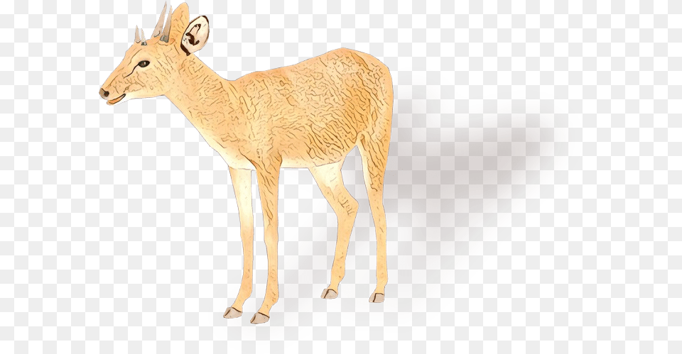 White Animal Figure, Antelope, Deer, Impala, Mammal Free Transparent Png