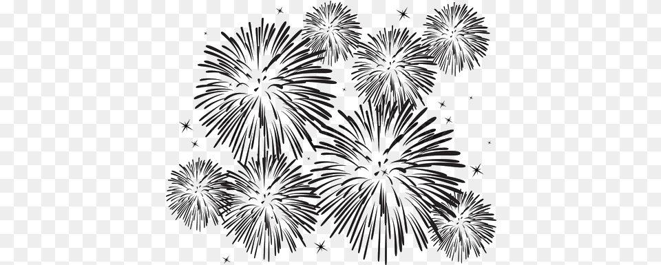 White Background Transparent Fireworks With White Background, Plant Png Image