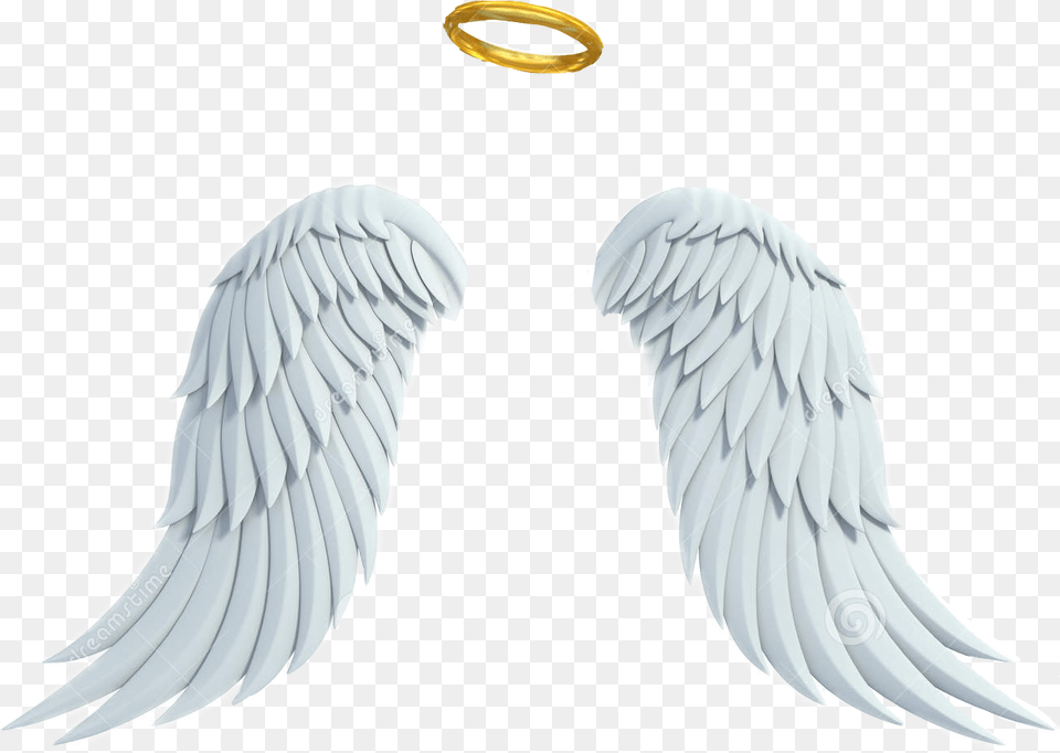White Background With Angel Wings, Accessories, Animal, Bird, Jewelry Png Image