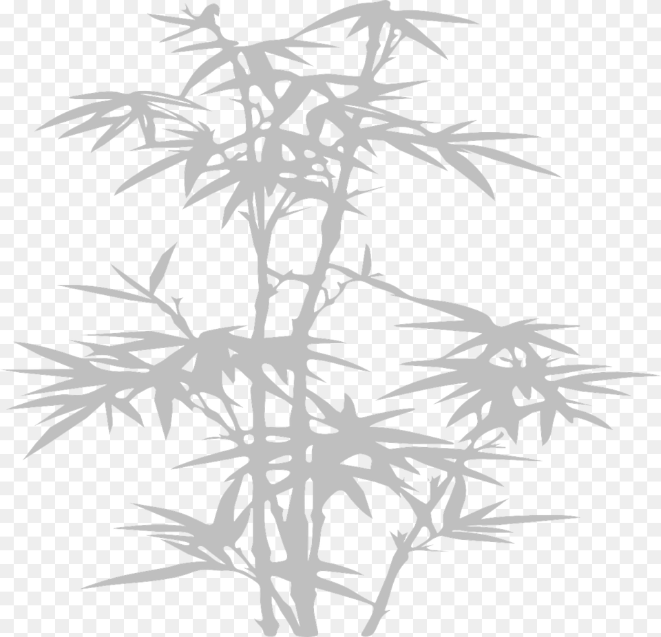 White Bamboo Plant, Stencil, Art, Modern Art Free Transparent Png