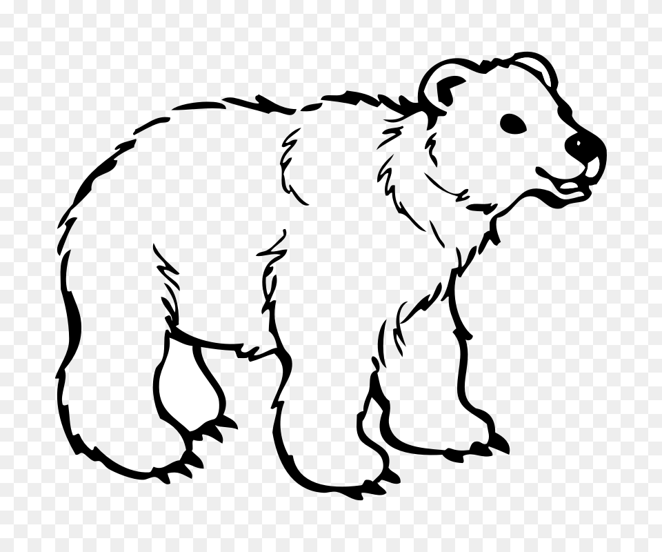White Bear Cartoon, Silhouette, Lighting Free Transparent Png