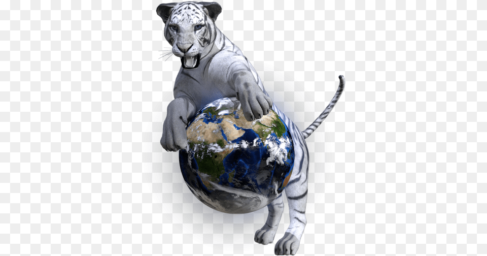 White Bengal Tigerpredator White Tiger, Sphere, Astronomy, Outer Space, Planet Free Png Download