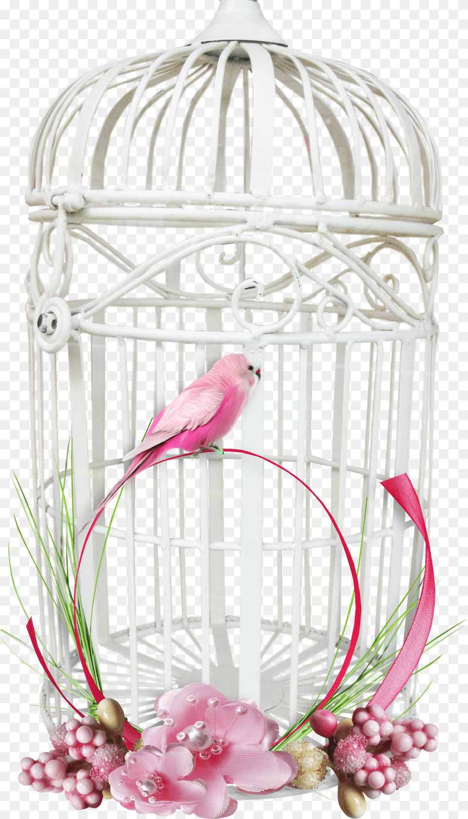 White Bird Cage Purepng Free Transparent Cc0 Transparent Background Bird Cage, Animal, Crib, Finch, Furniture Png