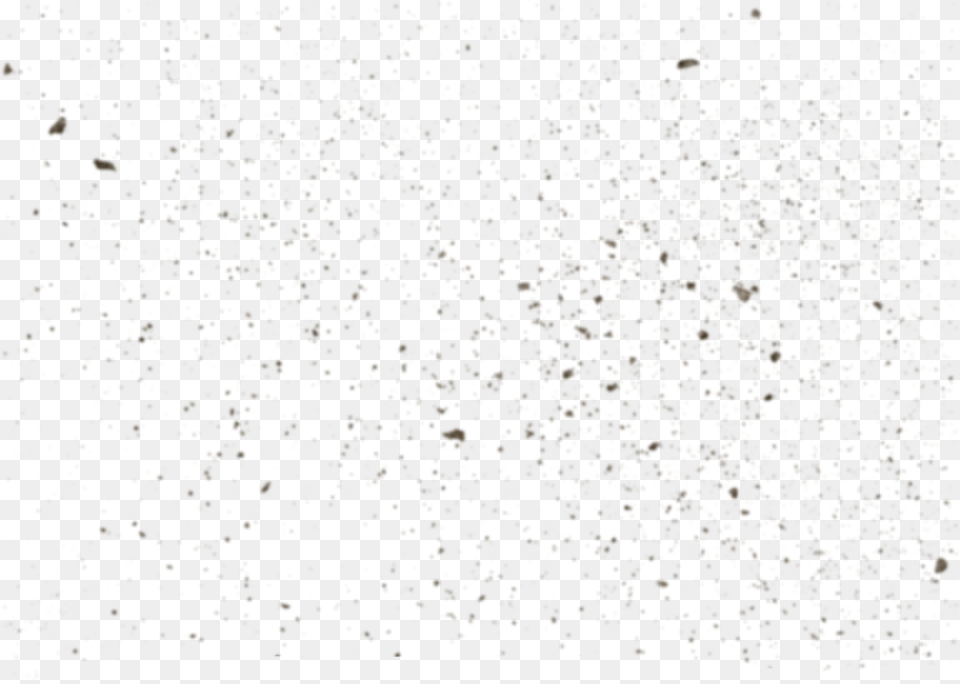 White Black Font Bird, Paper, Confetti, Outdoors Free Transparent Png