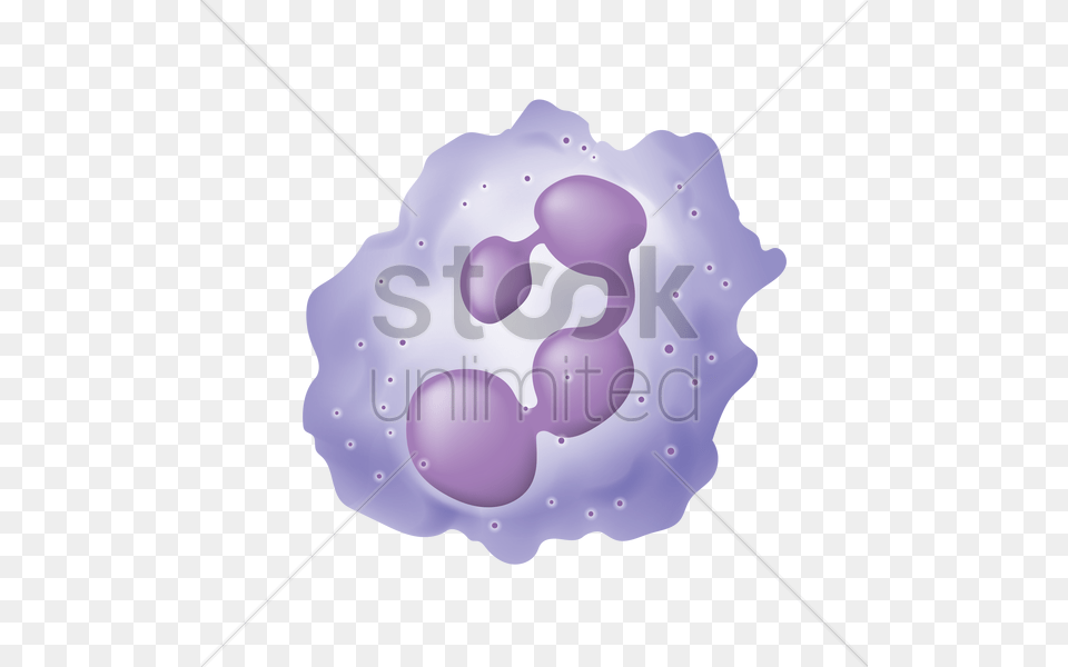 White Blood Cell Vector Image, Purple, Nature, Outdoors, Weather Free Transparent Png