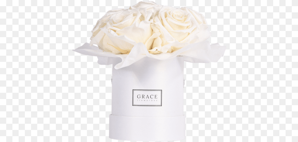 White Bouquet Grace Flowerbox White Bouquet, Flower, Flower Arrangement, Flower Bouquet, Plant Png