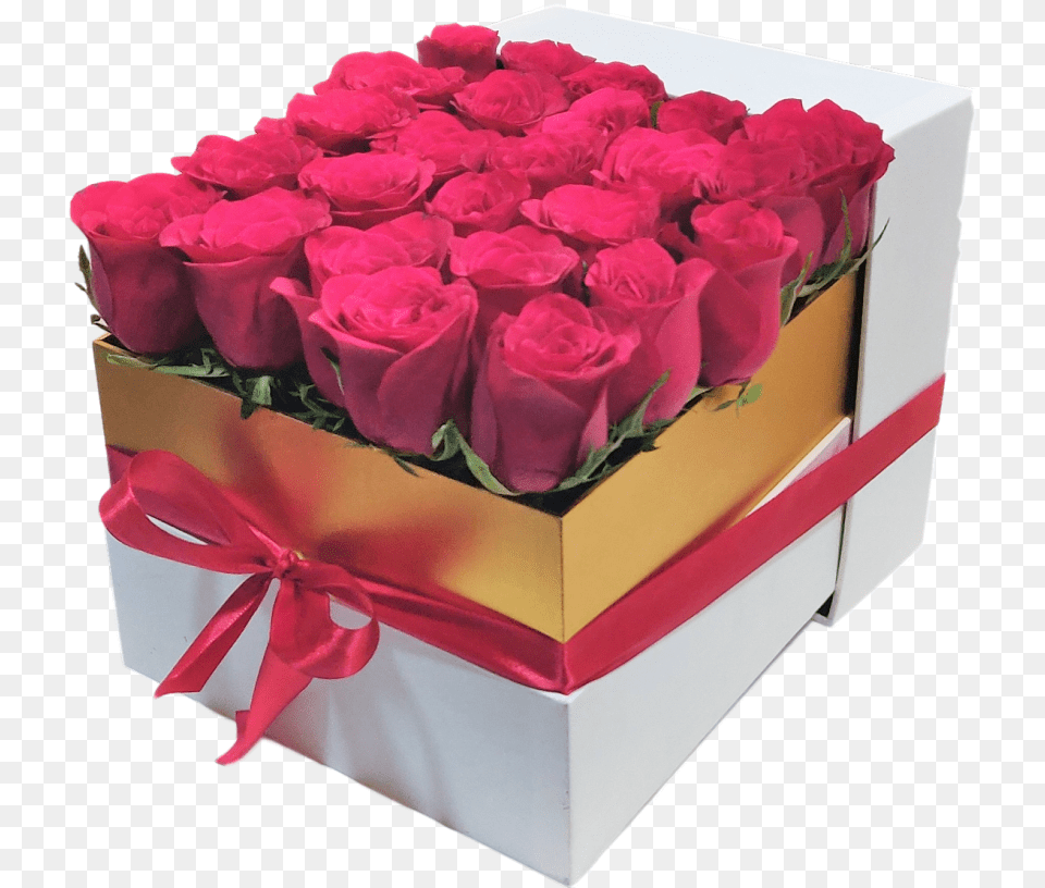 White Box 25 Red Roses Gift Garden Roses, Flower, Flower Arrangement, Flower Bouquet, Plant Png Image