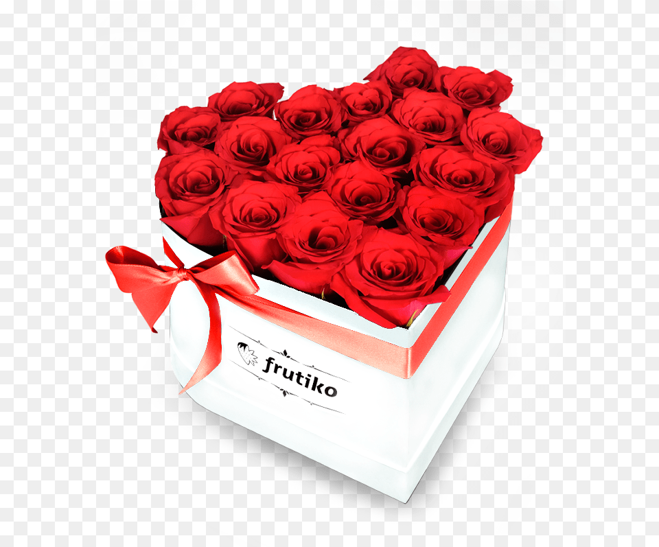 White Box Freshly Cut Red Roses Garden Roses, Rose, Plant, Flower, Flower Bouquet Png Image