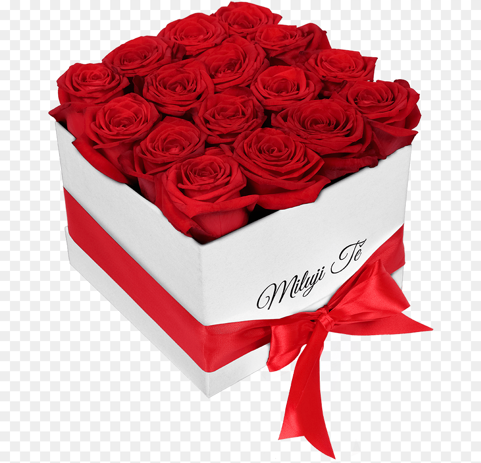 White Box Of Red Roses I Love You Rosas Para El 14 De Febrero, Flower, Flower Arrangement, Flower Bouquet, Plant Free Png