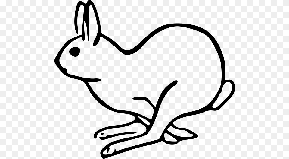 White Bunny Clipart, Gray Free Png