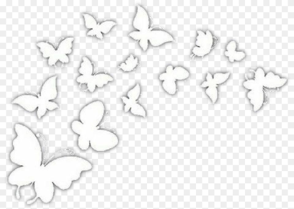 White Butterflies Overlay Freetoedit Belizean Flag Butterfly, Silhouette, Stencil, Flower, Plant Free Png