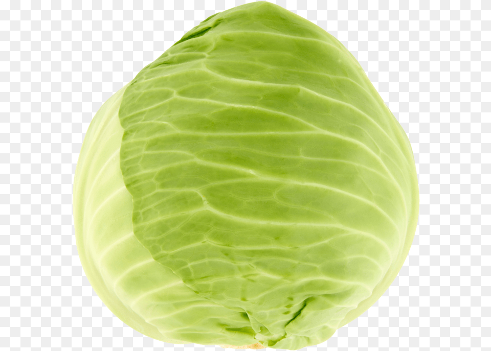 White Cabbage White Cabbage Transparent, Food, Leafy Green Vegetable, Plant, Produce Free Png Download