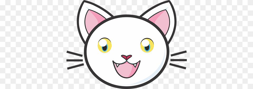 White Cat Disk Free Png