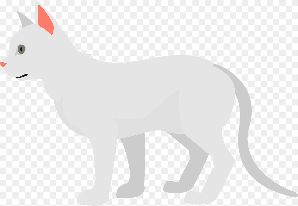 White Cat Clipart, Animal, Canine, Dog, Mammal Free Transparent Png