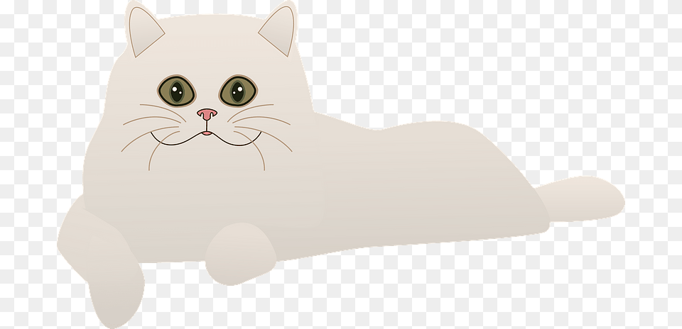 White Cat Clipart Domestic Short Haired Cat, Angora, Animal, Mammal, Pet Png Image