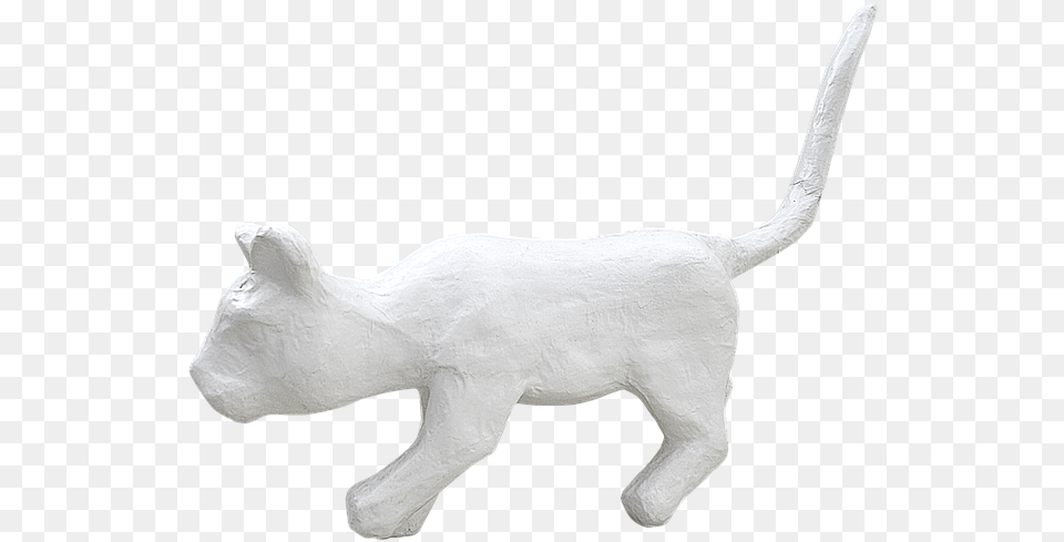 White Cat Photo On Pixabay En Blanco Animal, Canine, Dog, Mammal, Pet Free Png Download