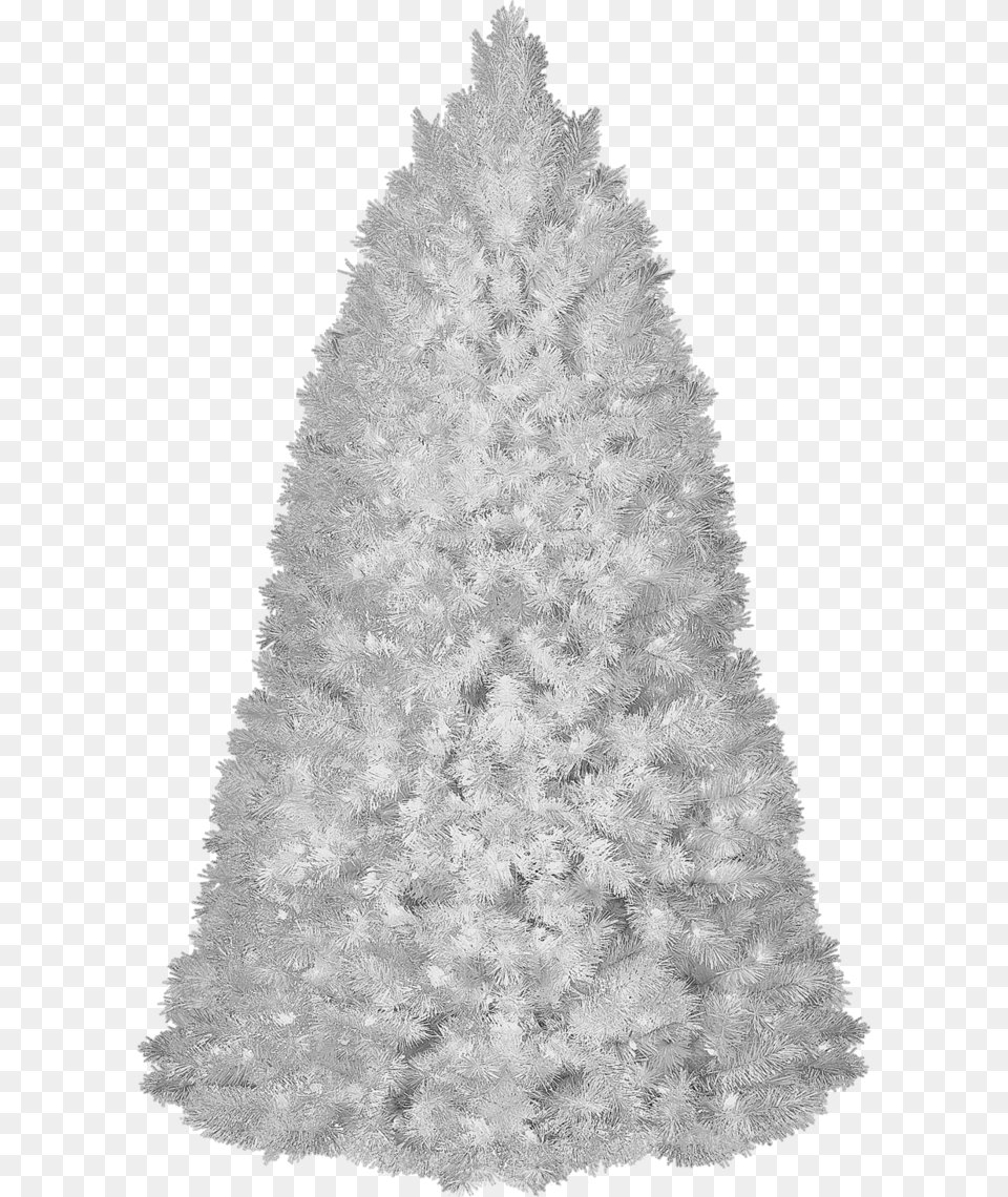 White Christmas Tree Transparent, Plant, Adult, Wedding, Person Png