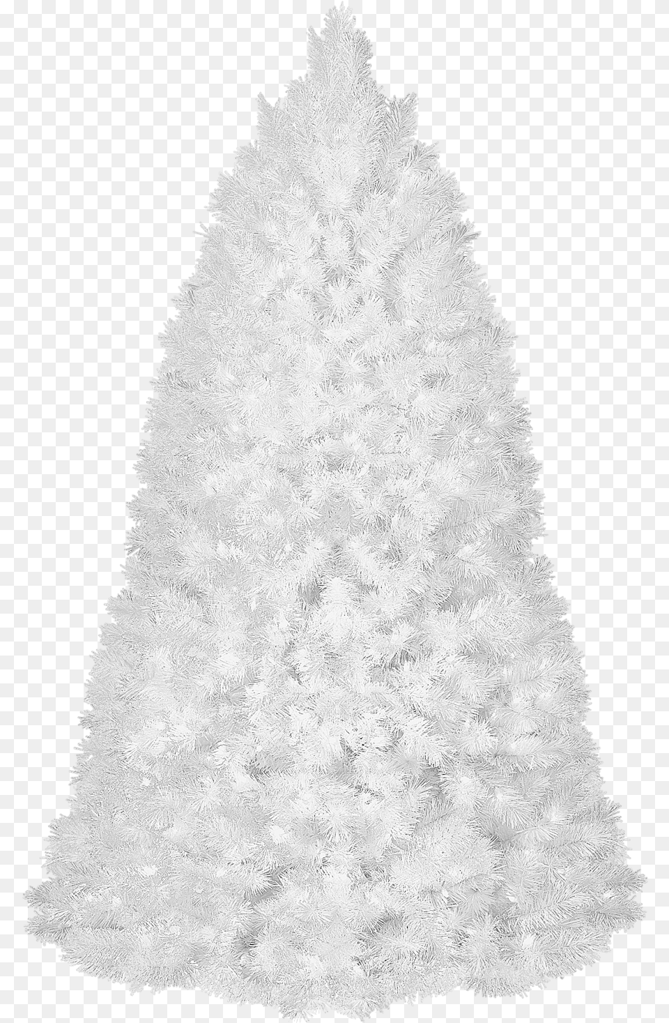 White Christmas Trees, Tree, Plant, Adult, Wedding Png Image