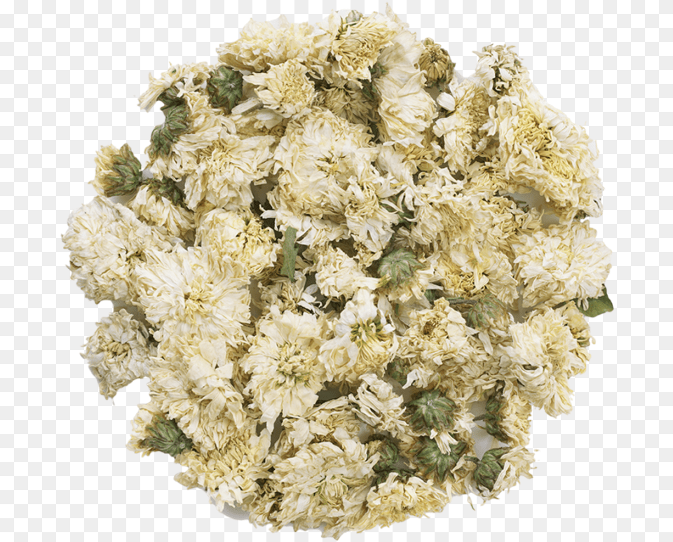 White Chrysanthemum, Plant, Petal, Flower Bouquet, Flower Arrangement Free Png Download