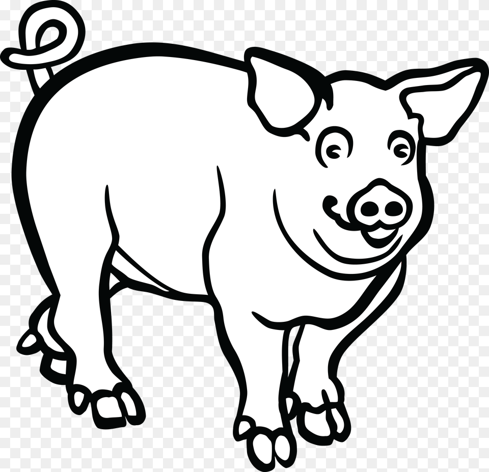 White Cigar Clip Art, Animal, Hog, Mammal, Pig Free Transparent Png