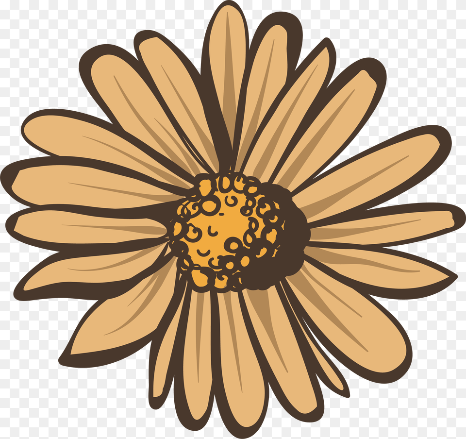 White Clip Art, Daisy, Flower, Plant, Sunflower Free Png
