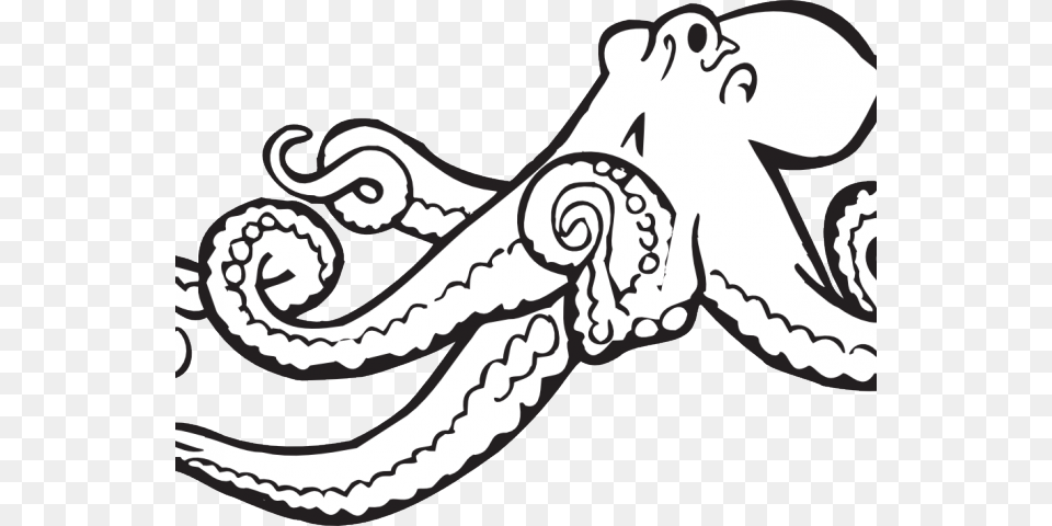 White Clipart Food, Animal, Sea Life, Invertebrate, Octopus Free Png